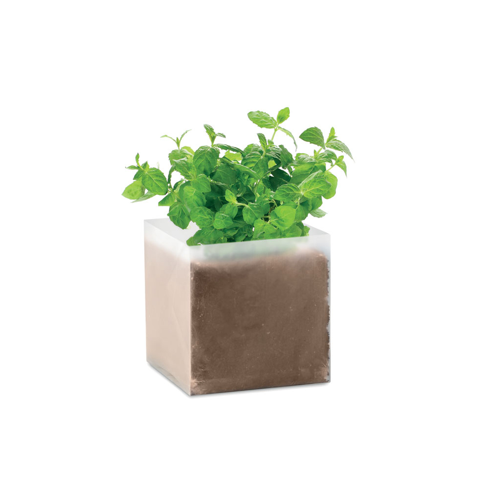 Seed bag incl. compost | Eco gift